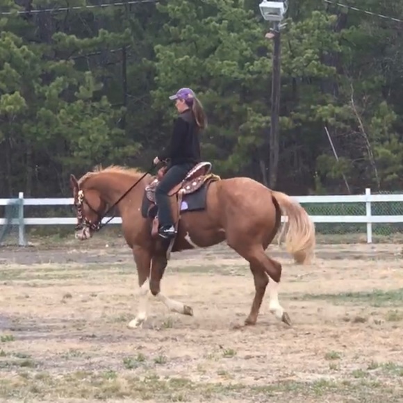 Meet your Posher, Tracey - Picture 1 of 1